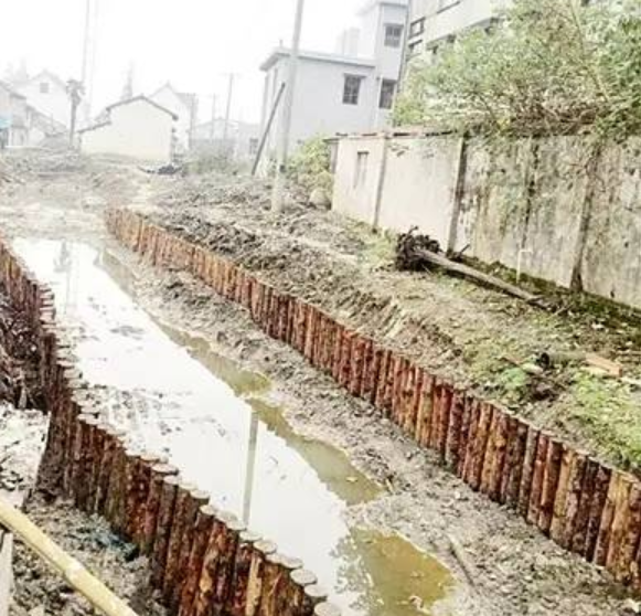 楓涇韓塢村3600根護岸木樁讓“垃圾河”換新顏