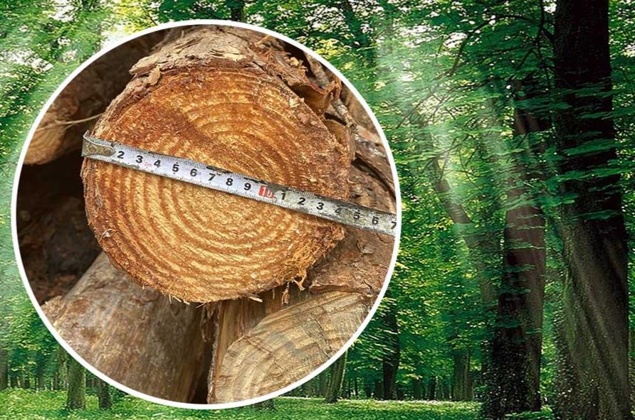 松木樁規格中大頭和小頭是指什么？松木樁大頭18cm小頭是多少