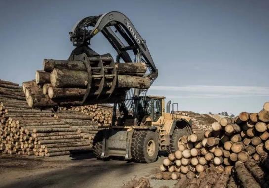 中國軟木進口疲軟但有望回升，與俄木材關系得到加強！