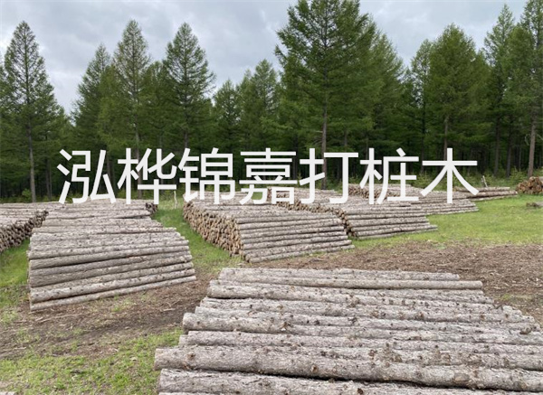 農村松木樁施工方案——提升農村建設質量的理想選擇