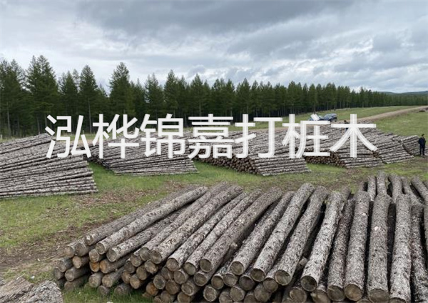 茂名松木樁施工公司-為您打造穩固的基礎