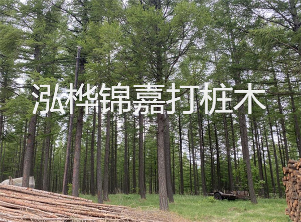 上海圍欄松木樁施工，為你打造安全舒適的園林空間