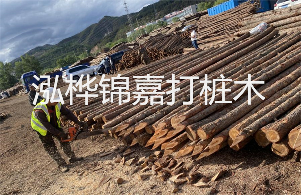 福建河道松木樁施工：為河道生態保護增添堅實保障