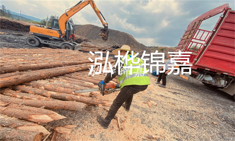 高效穩定的沙性基礎松木樁施工，打造堅實基石