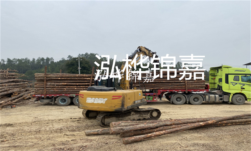 松木樁基礎施工視頻-打造穩固堅實的基礎