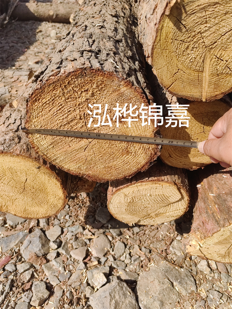 開啟木材行業新篇章，松木樁批發市場，一站式采購盡在眼前