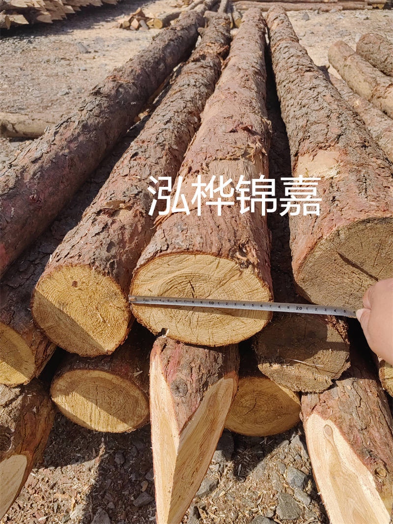 杉木樁施工工序-打造堅固可靠的基礎