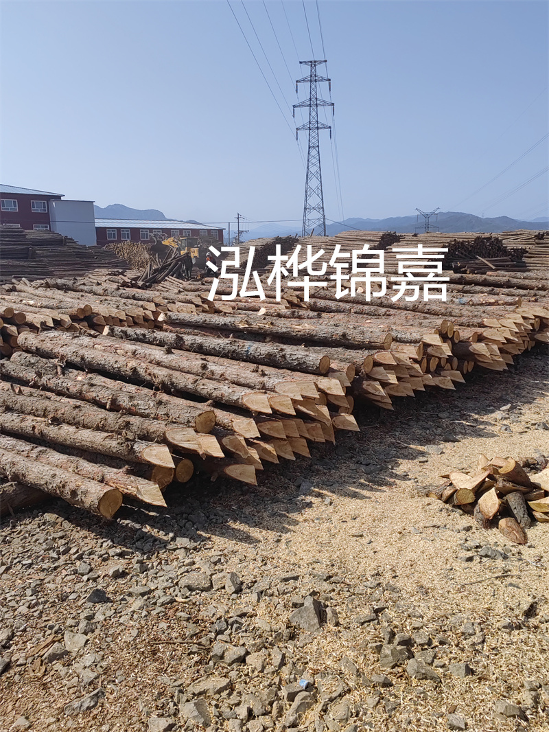 上海河道松木樁施工，打造美麗城市綠色生態環境
