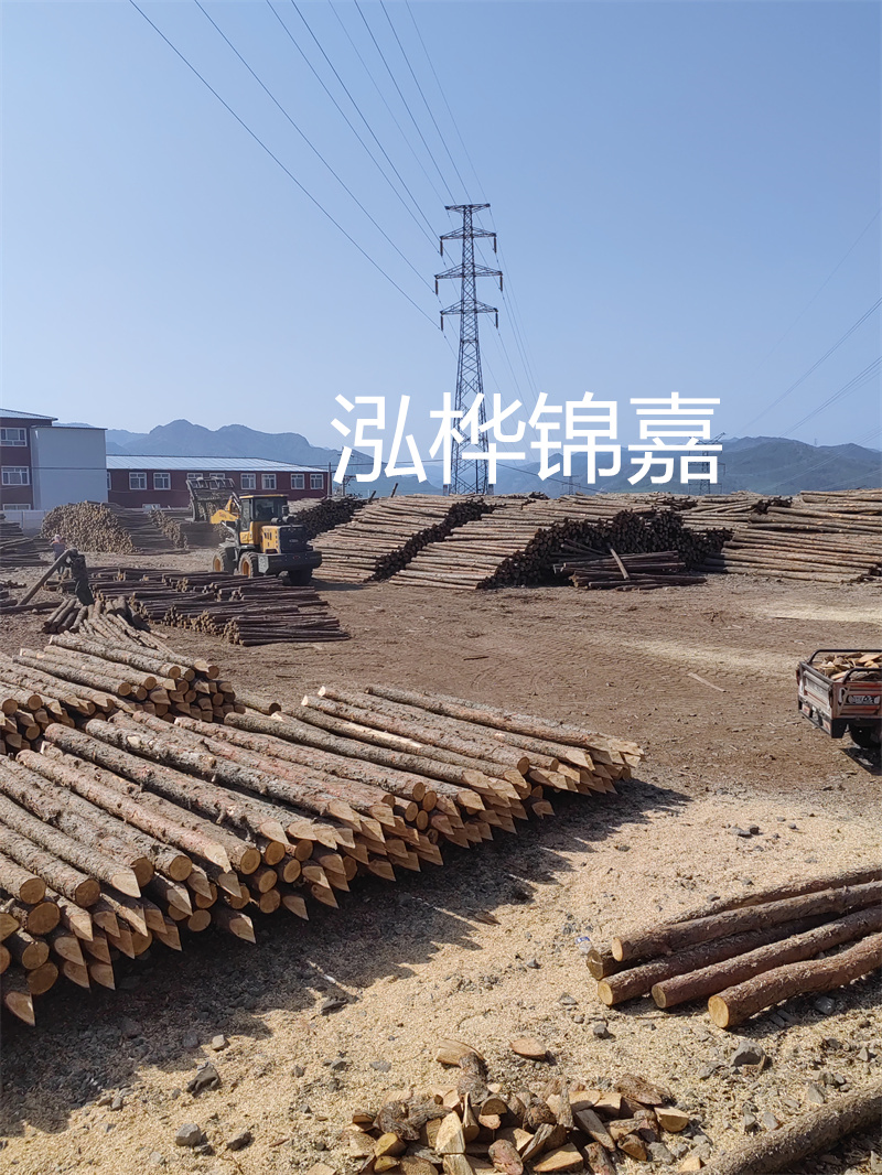 基礎松木樁施工工藝