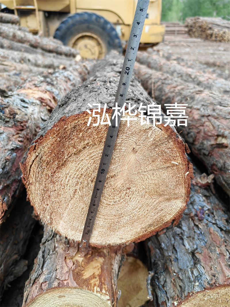 《交叉松木樁施工標準圖集——為高效施工保駕護航》