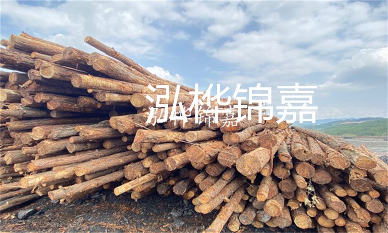 濮陽松木樁，卓越品質，安全可靠