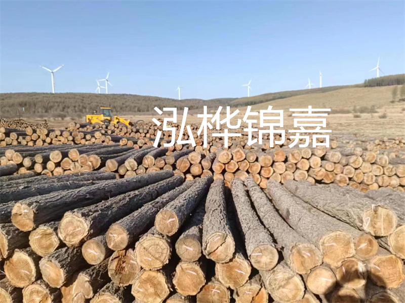 惠州哪里松木樁便宜！